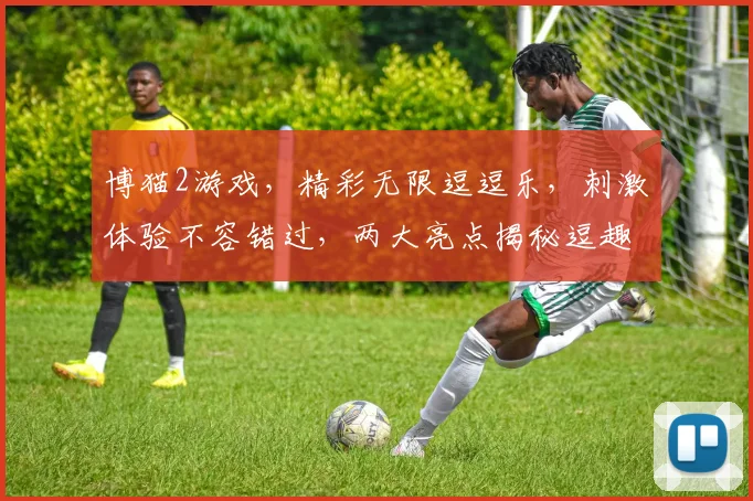 博猫2游戏，精彩无限逗逗乐，刺激体验不容错过，两大亮点揭秘逗趣攻略