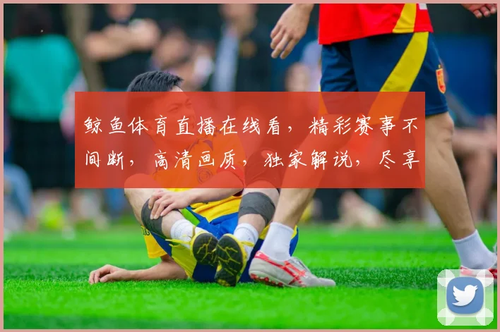 鲸鱼体育直播在线看，精彩赛事不间断，高清画质，独家解说，尽享观赛乐趣，不容错过